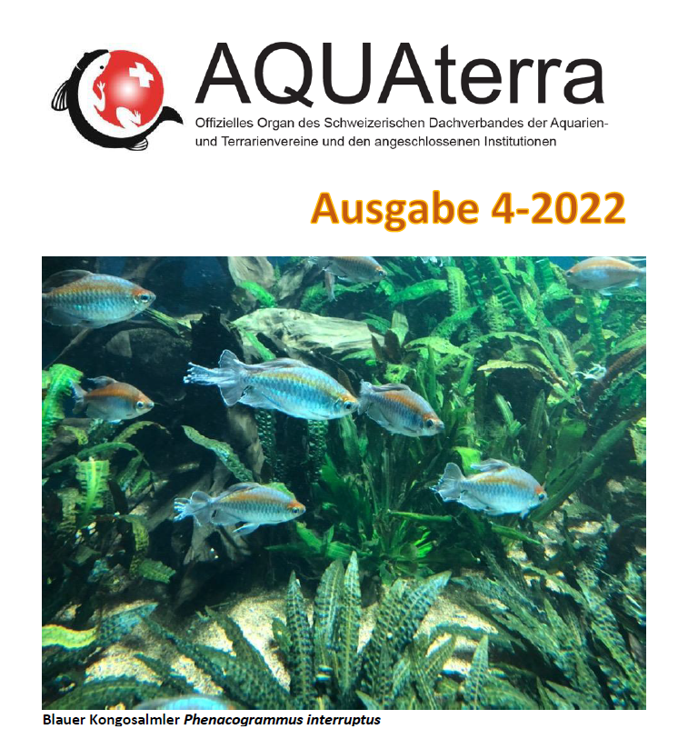 AquaTerra 4