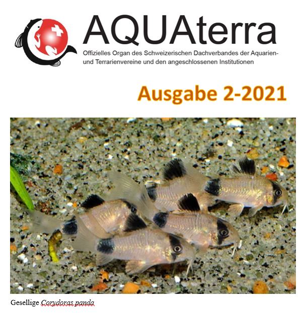 Aquaterra 2 2021