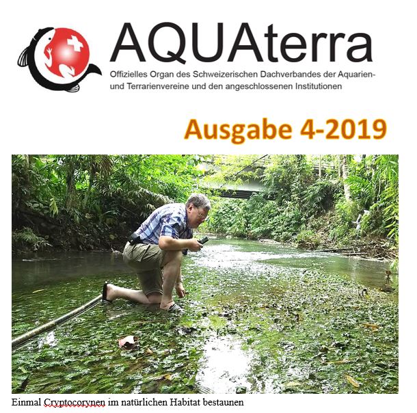 Aquaterra 4 2019
