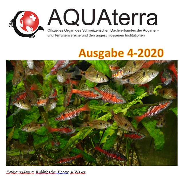 Aquaterra 4 2020