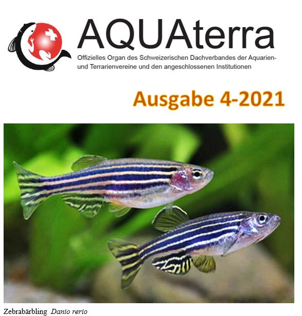 Aquaterra 4 2021